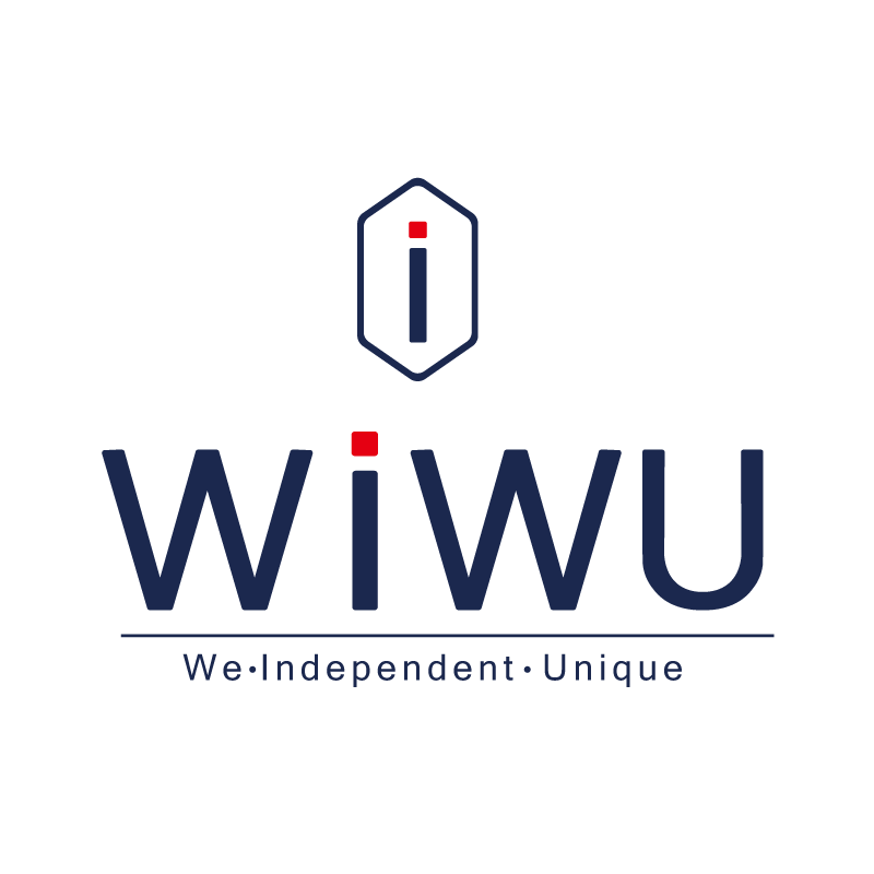 WIWU WB-104BK (ODYSSEY) 15