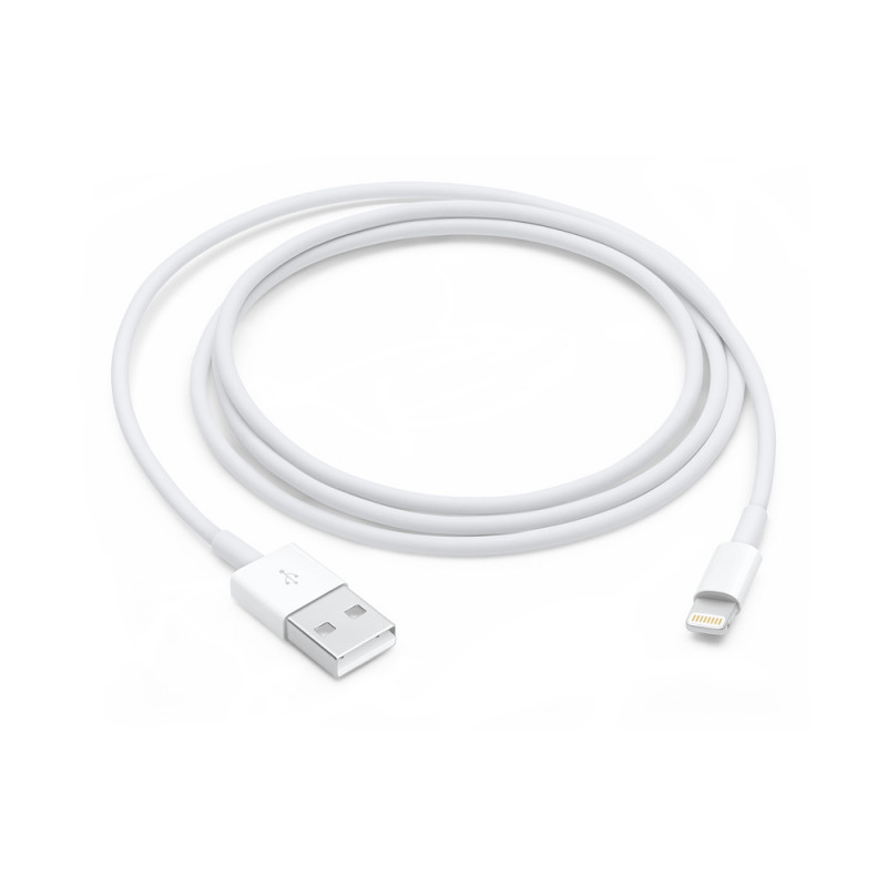 Apple MD818AMA Lightning To USB 1M