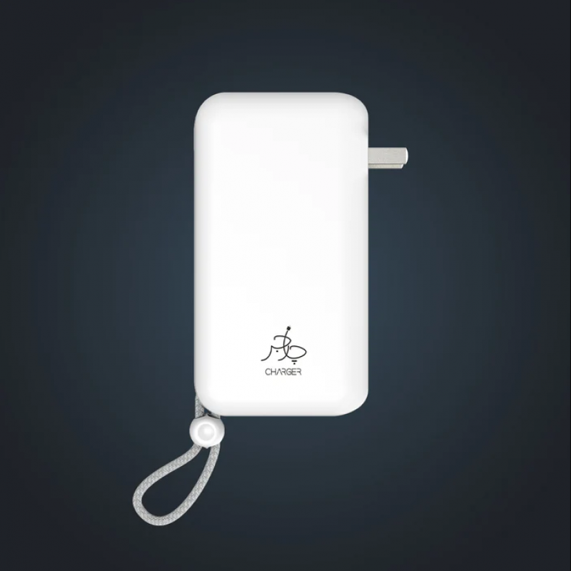 TAAR Kombo Powerbank 10,000mAh