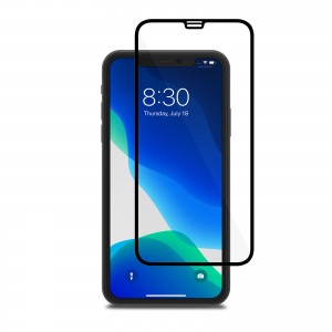 MOSHI IonGlass for iPhone 11 / XR - Black (Clear/Glossy)