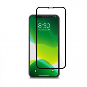 MOSHI IonGlass for iPhone 11 Pro / XS / X Black